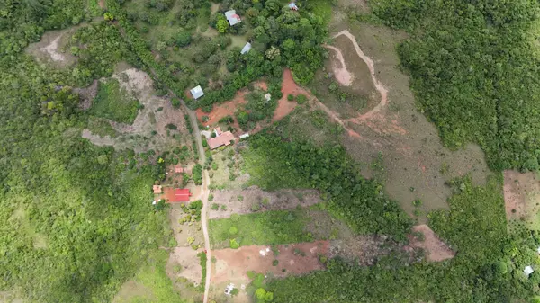 San Carlos