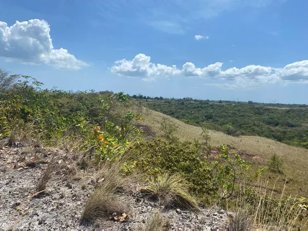 San Carlos