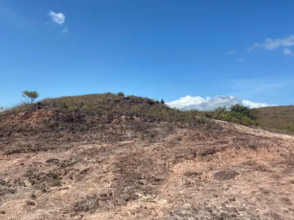 San Carlos