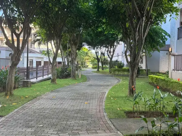 Panama Pacifico