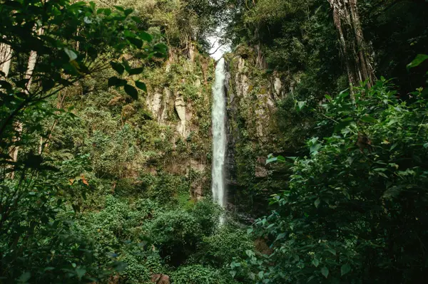 Coffee Farm - Volcan, 