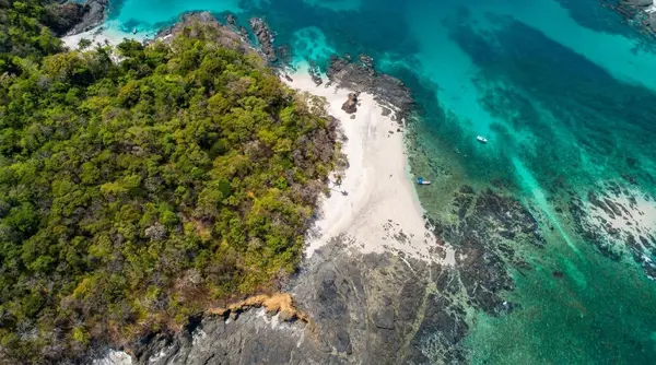 Isla Tintorera