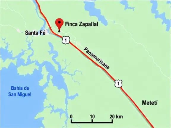 Finca Zapallal - Darién