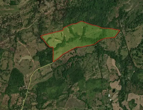 Finca Cerro Pedregoso - Veraguas, 