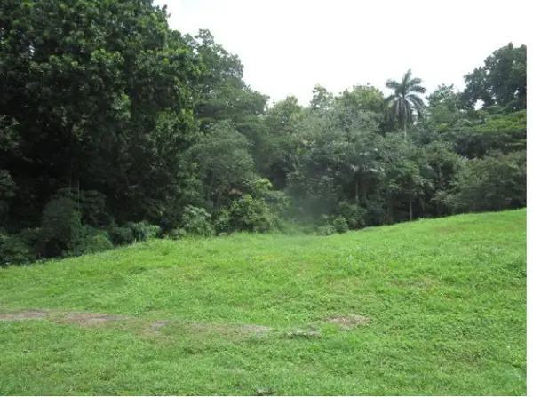 Curundu