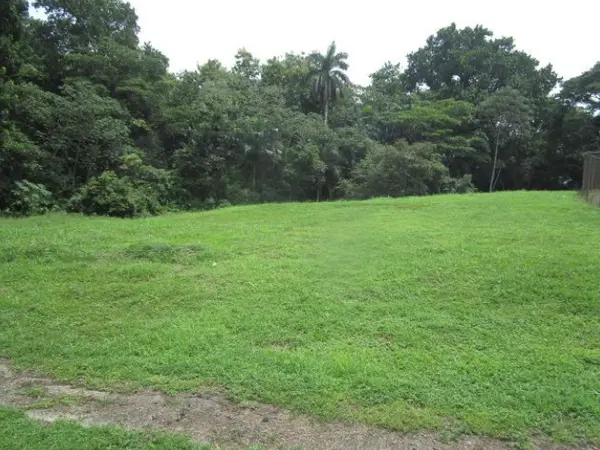 Curundu