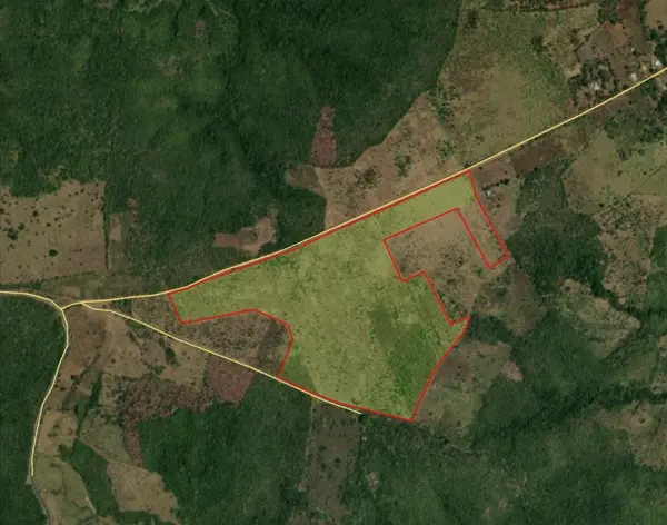 Finca Canto del Llano - Veraguas, 