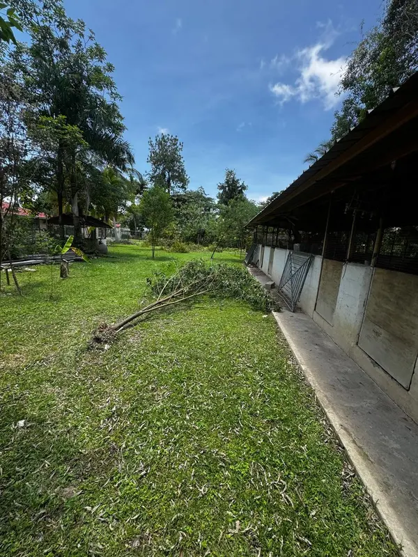 Santa Clara