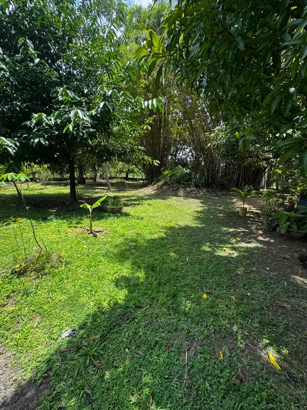 Santa Clara