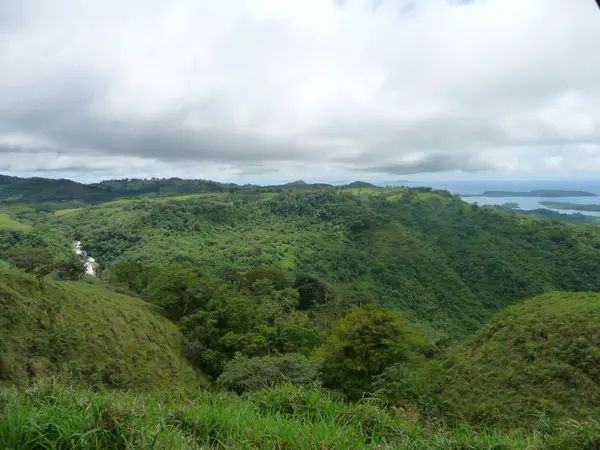 Chiriqui