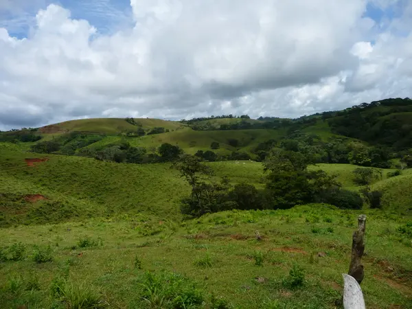 Chiriqui