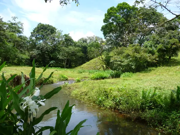 Chiriqui