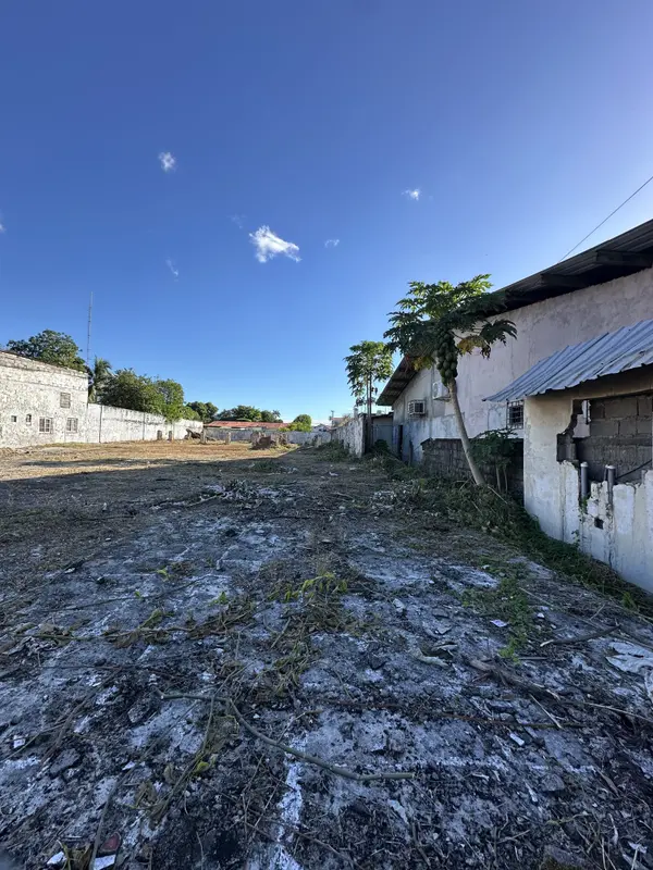 David - Chiriqui