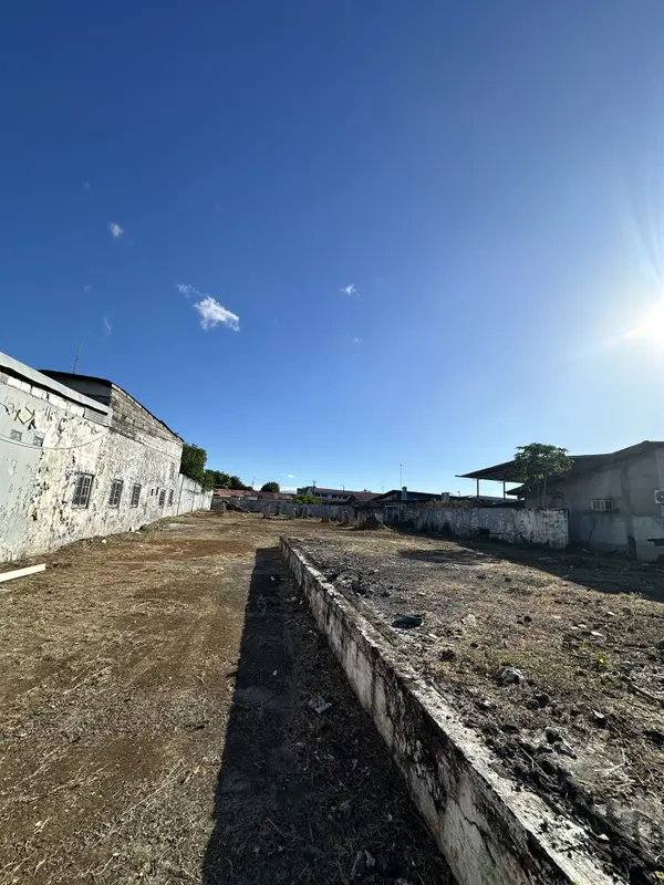 David - Chiriqui