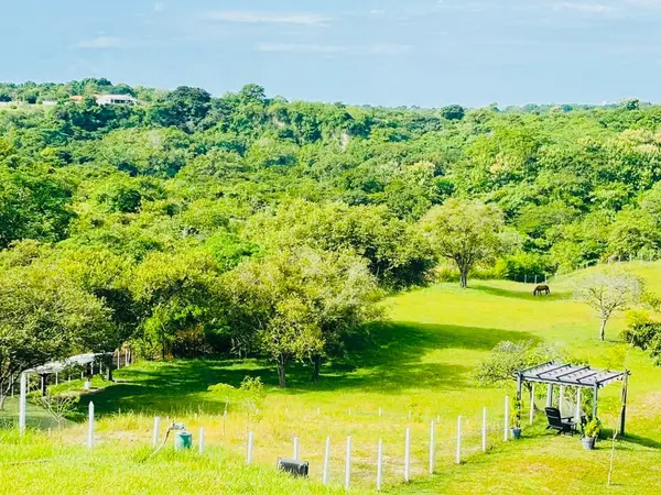 Punta Barco
