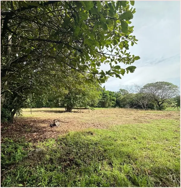 Punta Barco - La Lagartijas