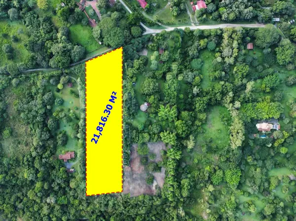 Punta Barco - La Lagartijas