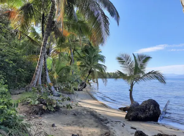 Boca del Drago - Bocas del Toro