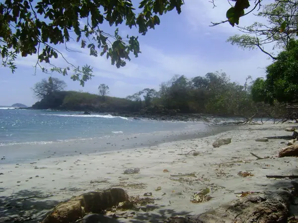 Isla San Jose - Chiriqui