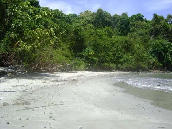 Isla San Jose - Chiriqui