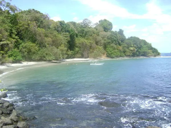Isla San Jose - Chiriqui