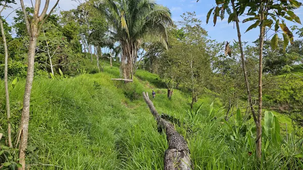 Puerto Amruelles - Chiriqui