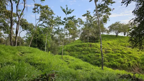 Puerto Amruelles - Chiriqui