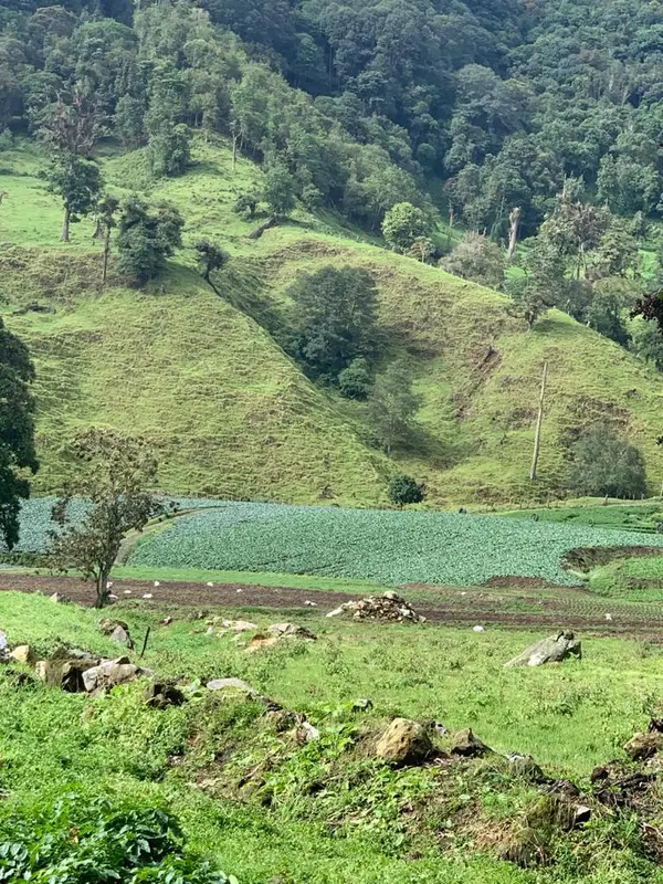Cerro Punta