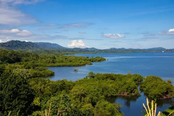Bocas del Toro