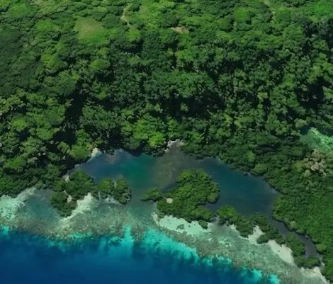 Bocas del Toro,