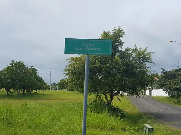 Coronado