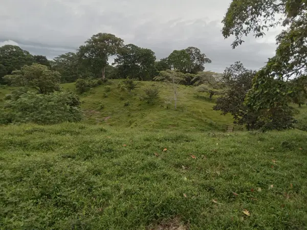 Isla San Cristobal - Bocas del Toro, 