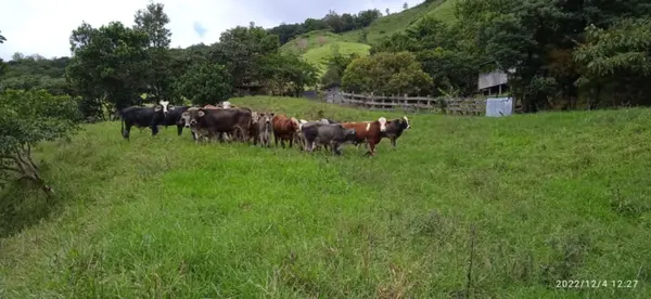 Caldera - Chiriqui