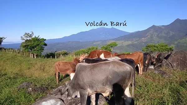 Caldera - Chiriqui