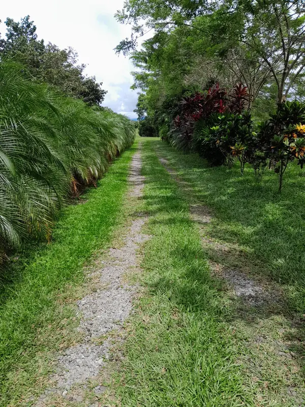 David - Chiriquí