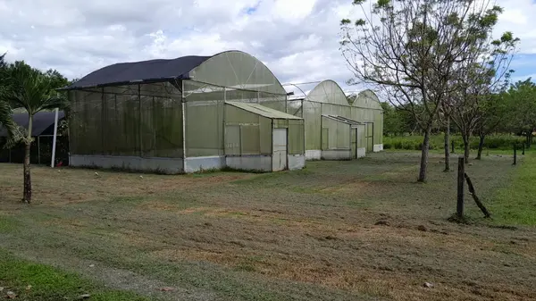 David - Chiriquí