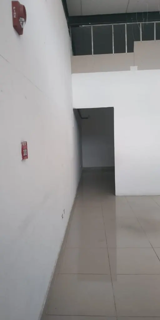 Pacora