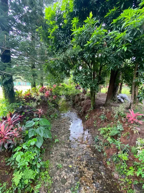 El Valle de Anton