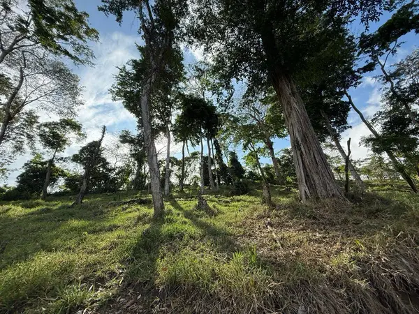 Baru, Chiriquí,