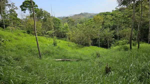 Baru, Chiriquí,