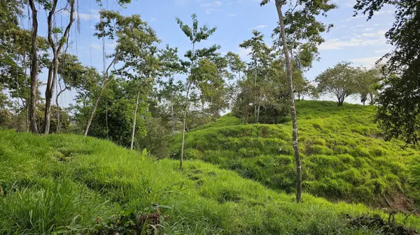 Baru, Chiriquí,