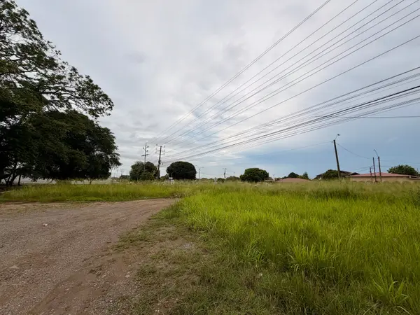 David, Chiriquí,