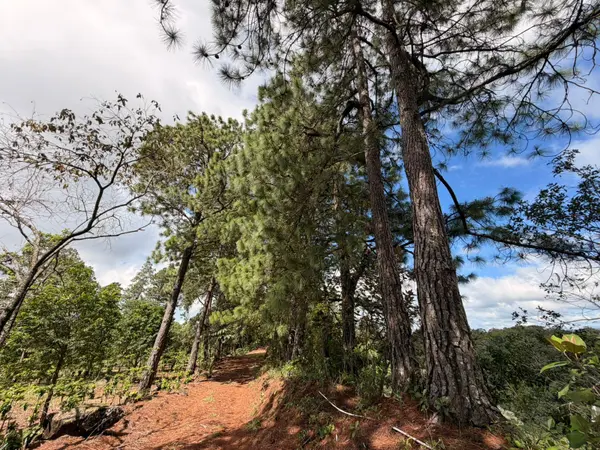 Boquete, Chiriquí,