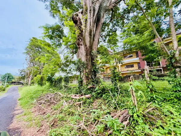 David, Chiriquí,