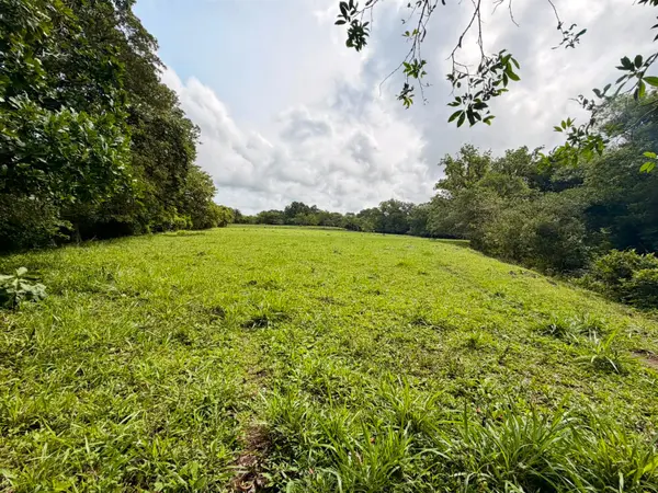 Los Algarrobos, Chiriquí,