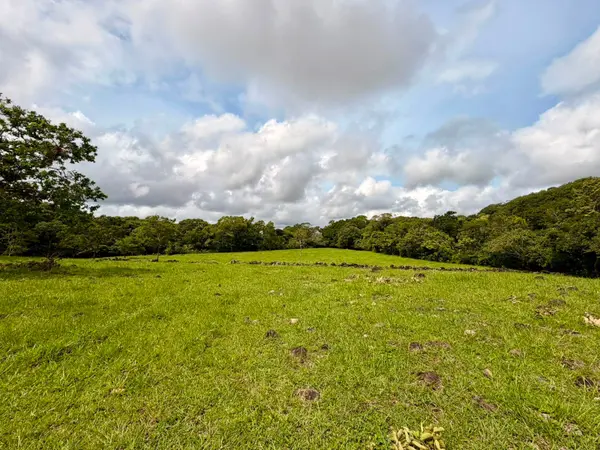 Los Algarrobos, Chiriquí,