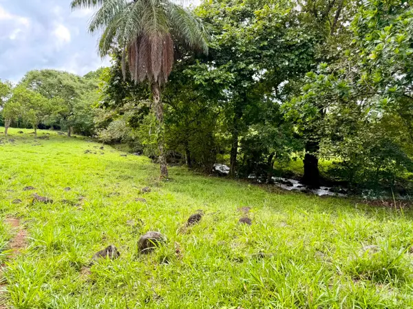 Los Algarrobos, Chiriquí,