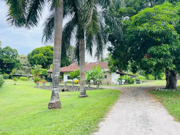 San Carlos