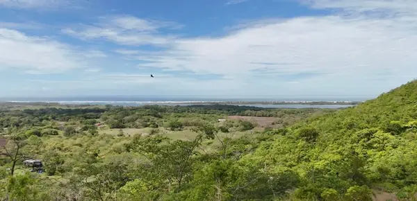 Cañas del Sol, 