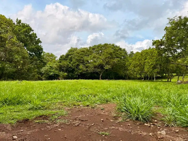 Los Algarrobos, Chiriquí,
